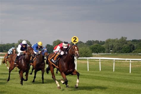 placepot dividends today|York Placepot LIVE Results .